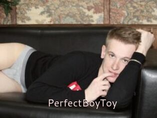 PerfectBoyToy