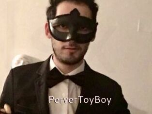 PerverToyBoy