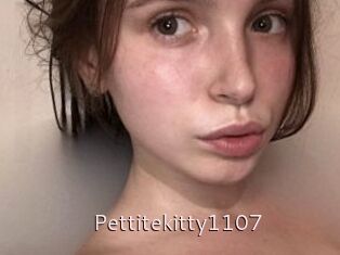 Pettitekitty1107