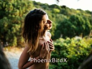 PhoenixBirdX