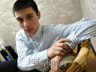 PlayfulTroy