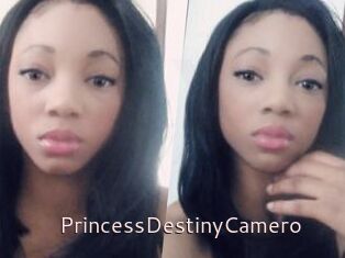 PrincessDestinyCamero