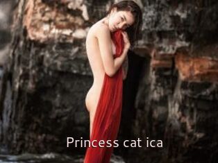 Princess_cat_ica