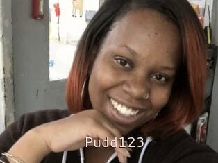 Pudd123