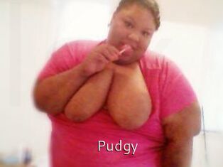 Pudgy