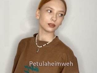 Petulaheimweh