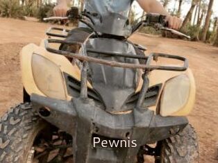 Pewnis