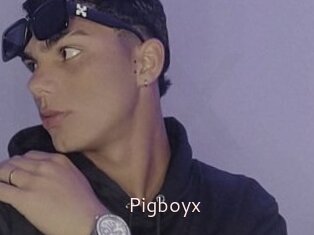 Pigboyx