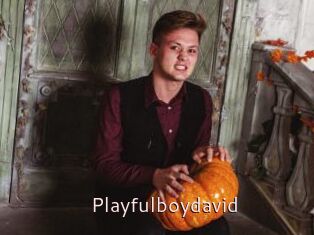 Playfulboydavid