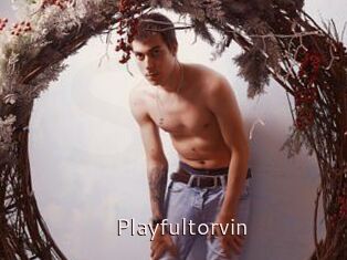 Playfultorvin