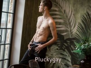 Pluckygay