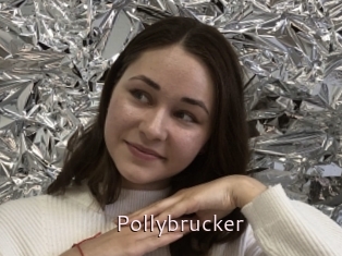 Pollybrucker