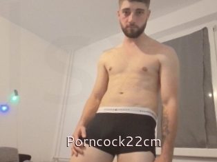 Porncock22cm