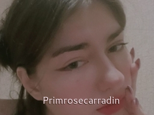 Primrosecarradin