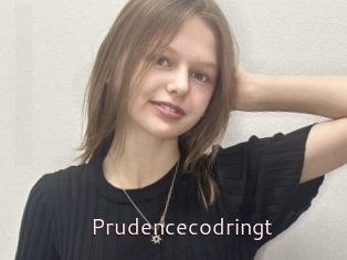 Prudencecodringt