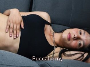 Puccahorny