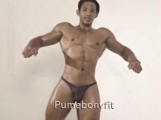 Pumebonyfit