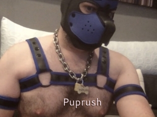 Puprush