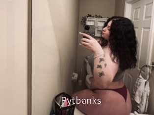 Pytbanks