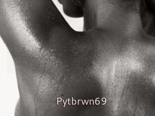 Pytbrwn69