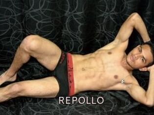 REPOLLO