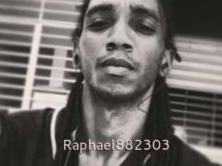 Raphael882303