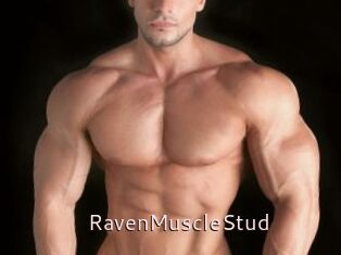 RavenMuscleStud