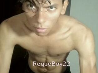 RogueBoy22