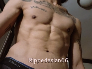 Rippedasian66