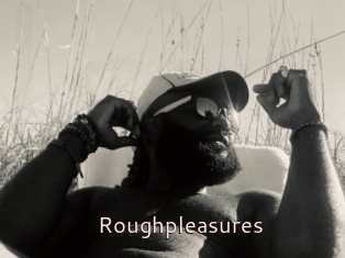 Roughpleasures