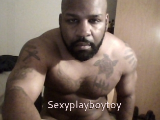 Sexyplayboytoy