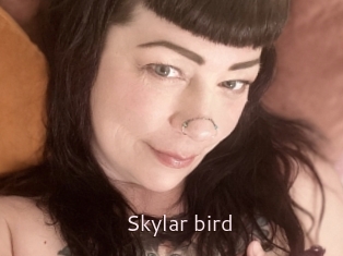 Skylar_bird