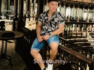 Stevebunny