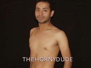 THEHORNYDUDE