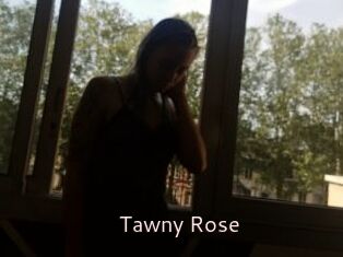 Tawny_Rose