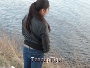 TeacupTiger