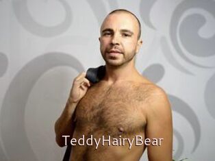 TeddyHairyBear