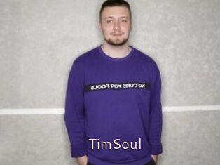 TimSoul