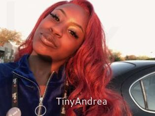 TinyAndrea