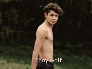 Tony_wolf