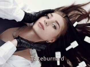 Taiteburnard