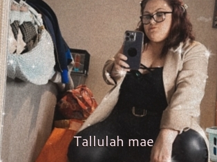 Tallulah_mae