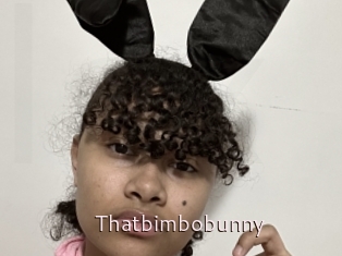 Thatbimbobunny