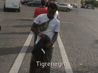 Tigrenegro