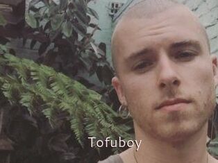 Tofu_boy