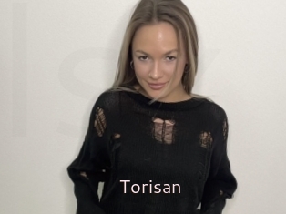 Torisan