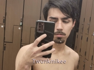 Twunkmikee