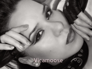 Vicamoose