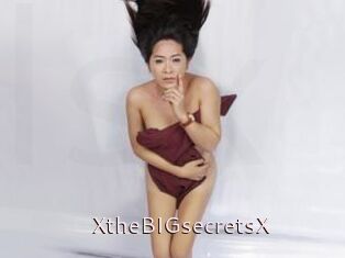 XtheBIGsecretsX