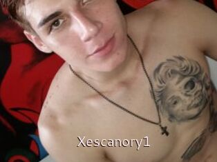 Xescanory1